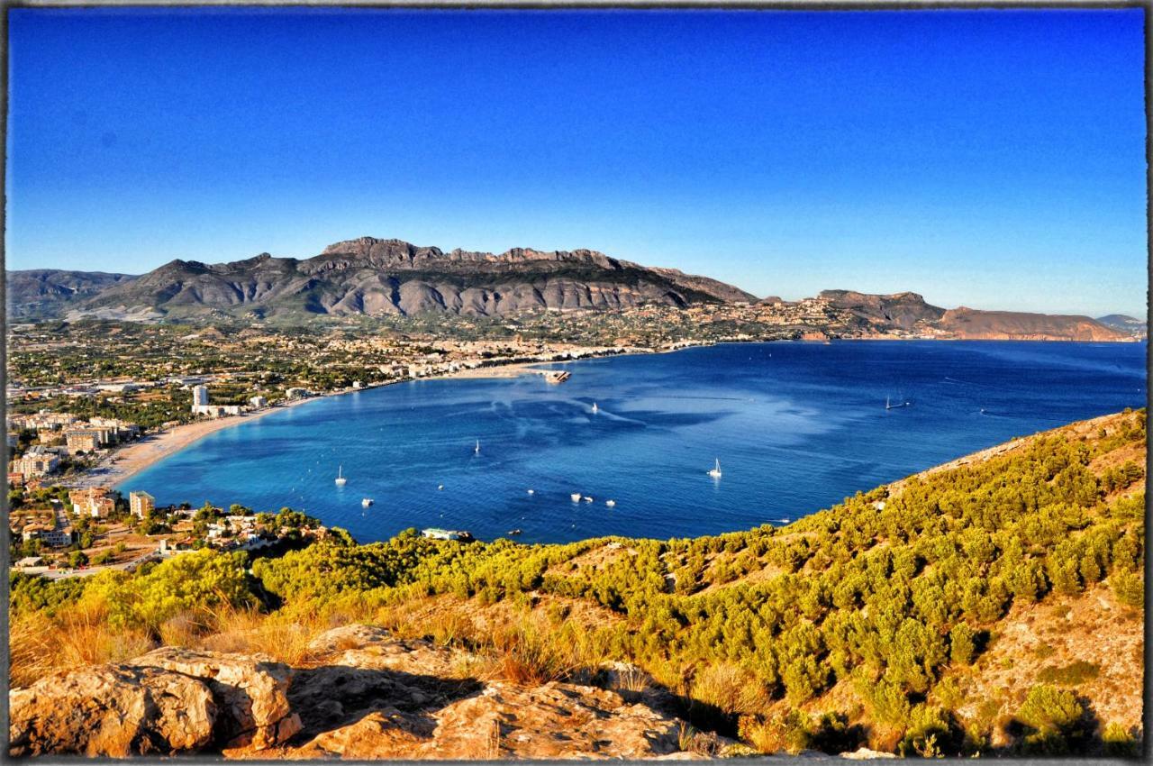 Albir 21 By Albir Proper